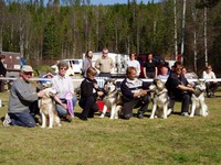 BIS Oppdretter på Norsk Polarhundklubbs spesialutstilling på Viubråtan 2004
