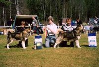 BIR og BIM ved Norsk Polarhundklubbs spesialutstilling på Viubråtan 2004