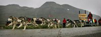 Vognløp på Tyinholmen 1 plass i åpen klasse. Foto Ørn Borgen