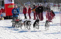Nora, Iza, Pepzi, Lykke, Gillan og Bruce gikk på spannet som vant VM i Åsarna 2008. Distansen var 3 x 15km og løpet gikk over 3 dager.