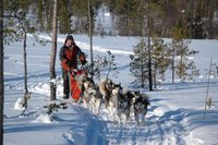NAMK løpet 2009 - 2 x 70 km - Nr. 1 i åpen klasse På spannet gikk Nora, Iza, Jazz, Agate, Pepzi, Lykke, Noah og Gillan.