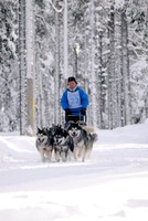 2 x 15 km, nr. 1 i 8 spann klassen med tiden 2.12.10 På spannet gikk Iza, Agate, Lykke, Perle, Jazz, Noah, Rufus og Gillan