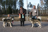 BIR og BIM NAMK utstilling 2010 Til venstre er NUch Trap Line Utility Mynte som ble BIR. Til høyre er Snow Cutter's Champion Leon som ble BIM. Leon er sønn av vår hanhund Felix.