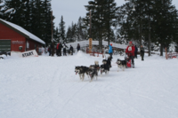 Nr. 1 i 6-spann klassen, B hunder - Alaskan Malamute På spannet gikk Agate, Rufus, Thelma, Velvet, Bison og Delta