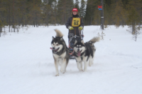 Nr. 1 i 4-spann klassen, 2 x 10 km På spannet gikk Rufus, Delta, Noah og Velvet