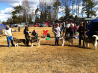Trap Line ble BIS oppdretter. I klassen viste vi NJV-12 NORDJV-12 NUch Trap Line Gonnawannamush with Gaga, Trap Line Celsius Delta, Trap Line Packice Alvilde og NUch NTch Trap Line Jaunty Balder. På samme utstilling ble Gaga BIS3, Alvilde BIS Junior og Balder BIS2 veteran og Kizz ble BIM valp.