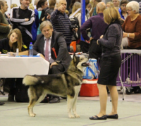 Kizz ble norsk juniorvinner 2013
