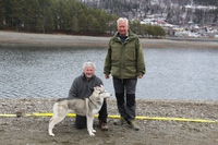 På norsk polarhundklubbs utstilling på Fagernes ble vår siberian husky Bjørk, BIR og BIS4. Bjørk ble norsk utstillingschampion på denne utstillingen.