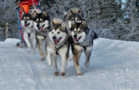 Fotograf Per Sverre Simonsen